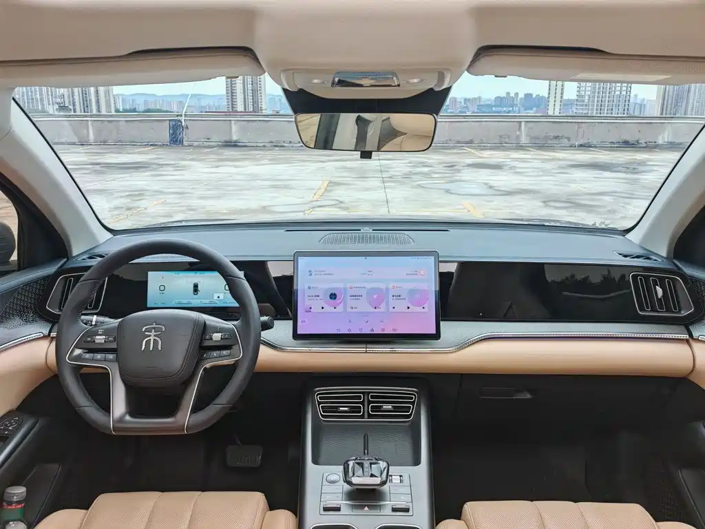 BYD Song Pro New Energy 2025 — фото 13