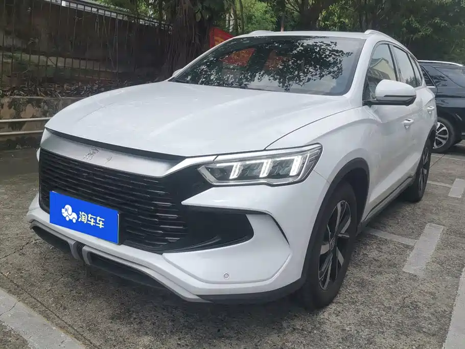 BYD Song Pro New Energy 2024 — фото 1