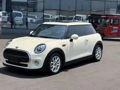 MINI MINI 2019