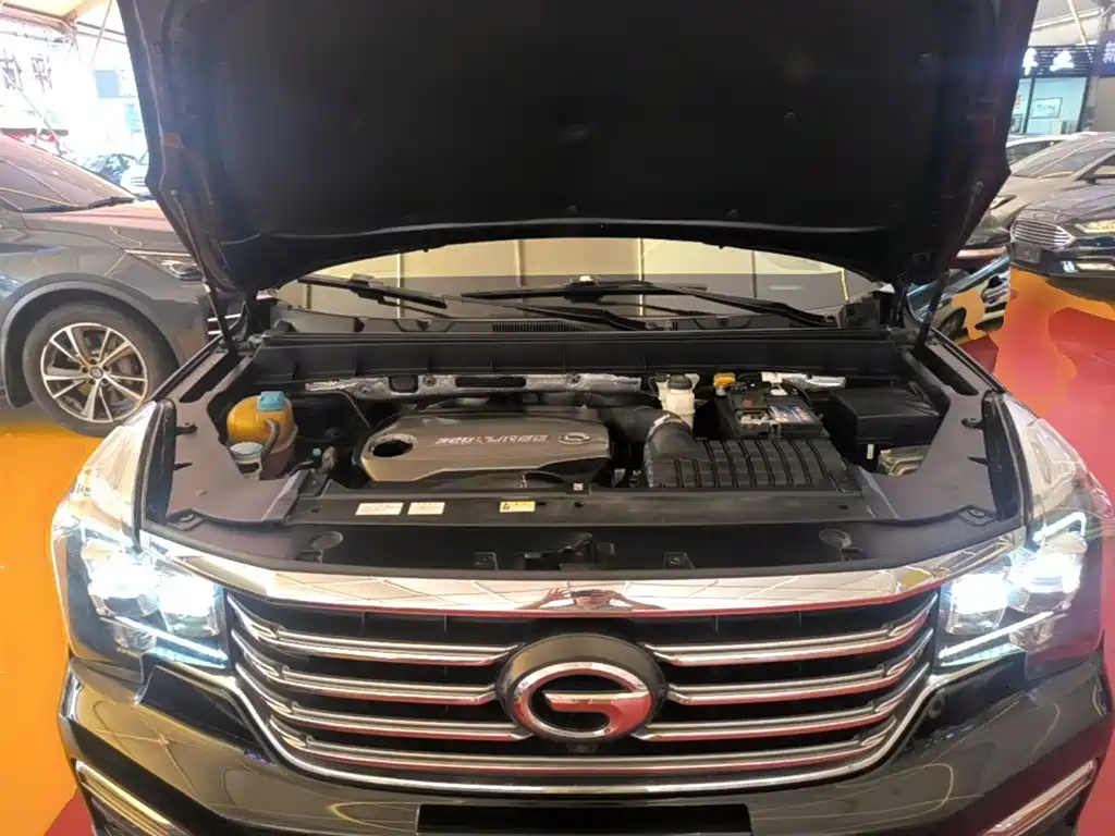 GAC Trumpchi GS8 2017 — фото 20