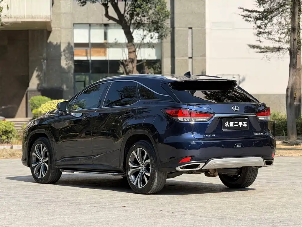Lexus RX 2020 — фото 19