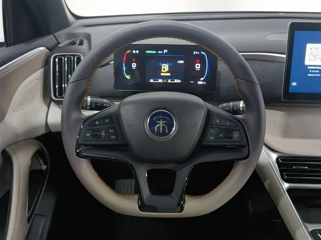 BYD Pro New Energy 2024 — фото 11
