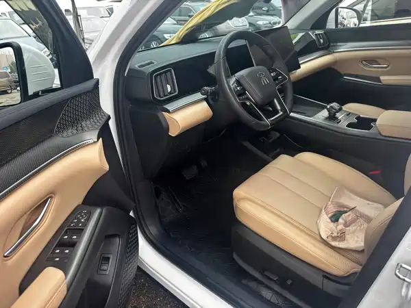 BYD Song Pro New Energy 2024