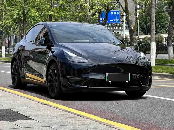 Tesla Model Y 2021