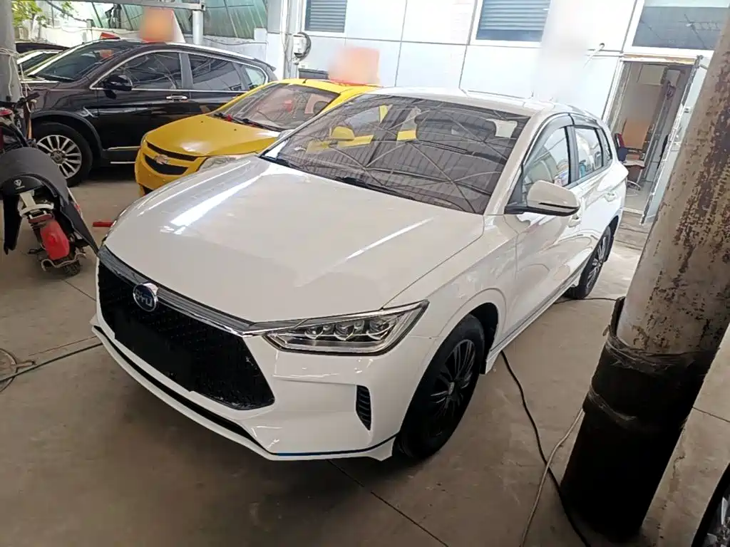 BYD e2 2019
