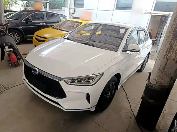 BYD e2 2019