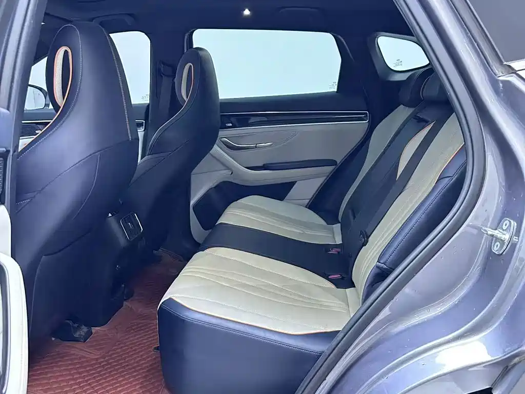 BYD Song PLUS New Energy 2022 — фото 7