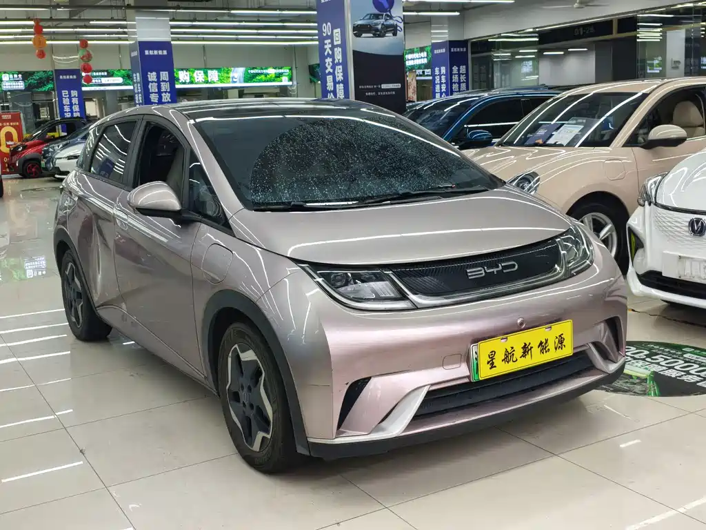 BYD Dolphin 2022