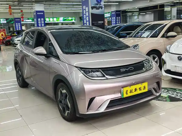 BYD Dolphin 2022