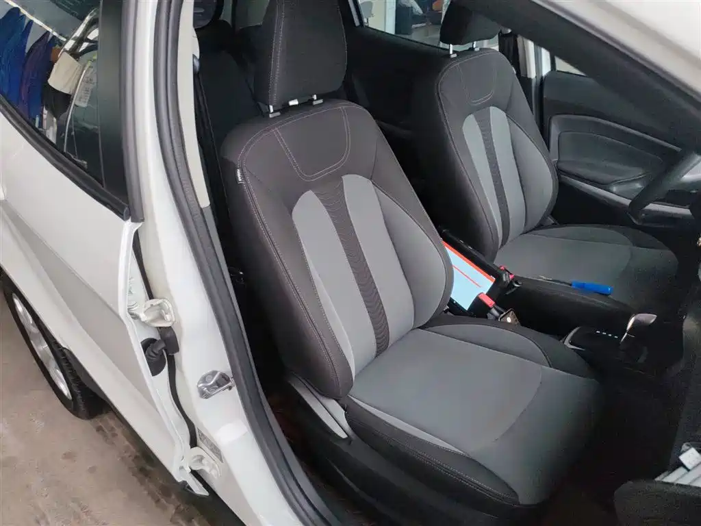 Ford Ecosport 2017 — фото 25