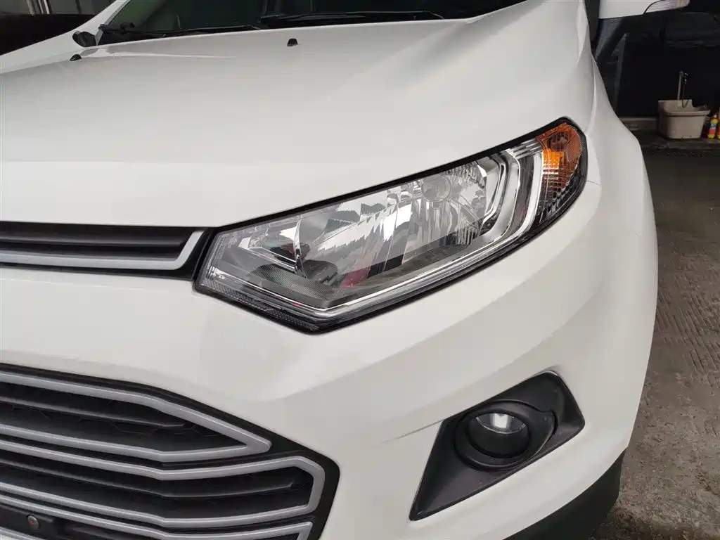 Ford Ecosport 2017 — фото 24