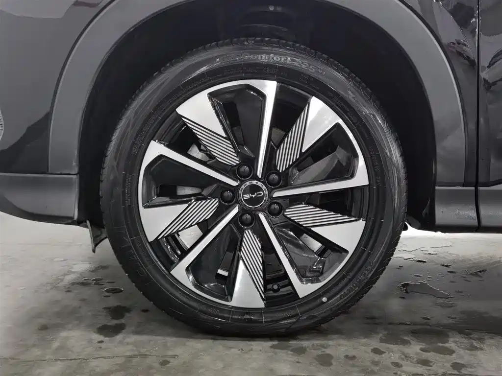 BYD PLUS New Energy 2025 — фото 17