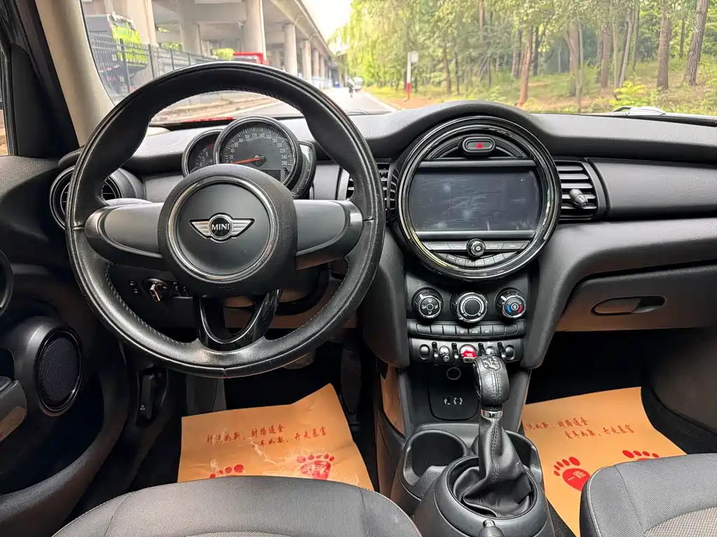 MINI MINI 2018