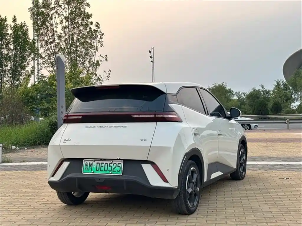 BYD Seagull 2024