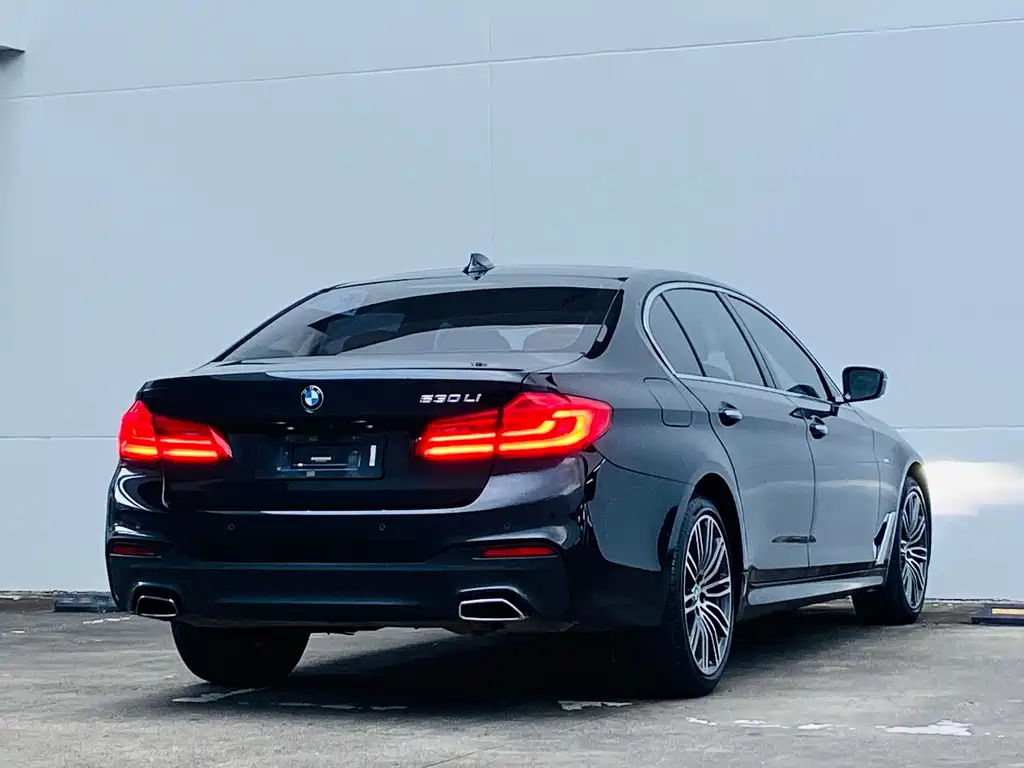 BMW 5 Series 2017 — фото 9