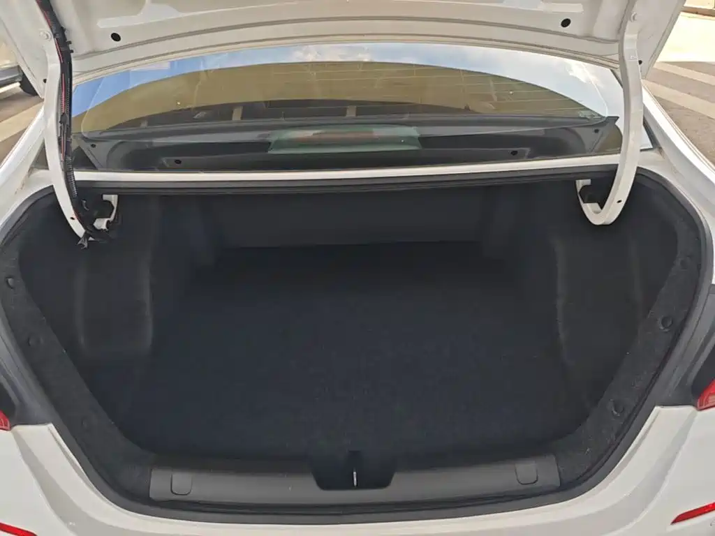 Chevrolet Cavalier 2019 — фото 19