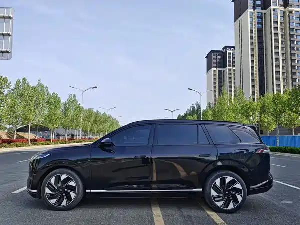 Dongfeng e008 2025