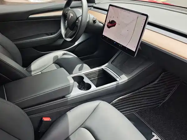 Tesla Model 3 2019