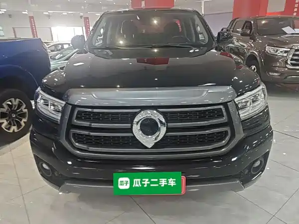 Great Wall Poer 2024