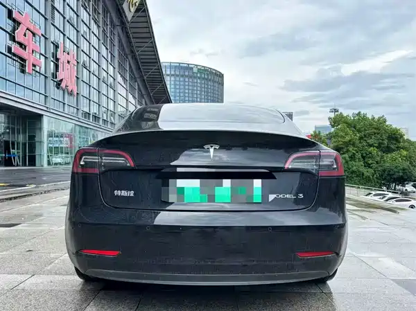 Tesla Model 3 2021