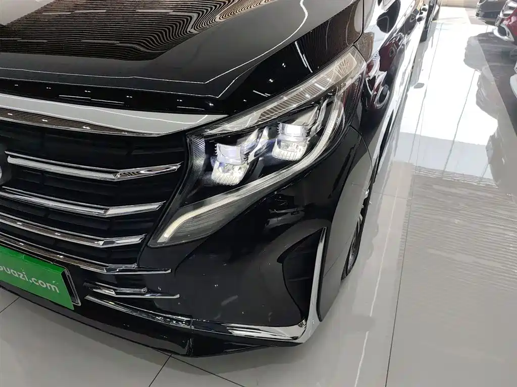 GAC Motor Trumpchi M8 2024 — фото 18