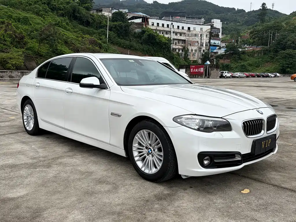 BMW 5 Series 2015
