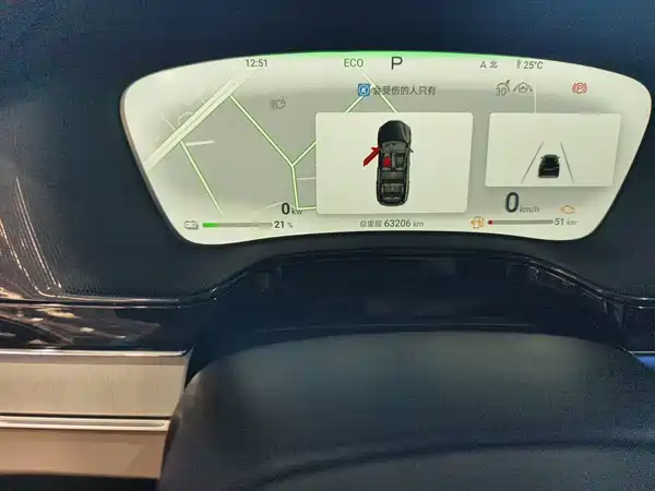 BYD Tang New Energy 2024