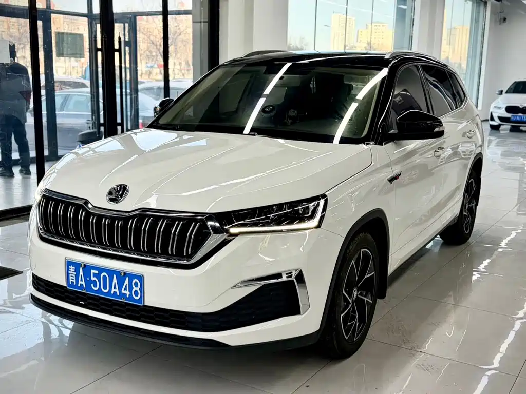 Skoda Kamiq 2022 — фото 1