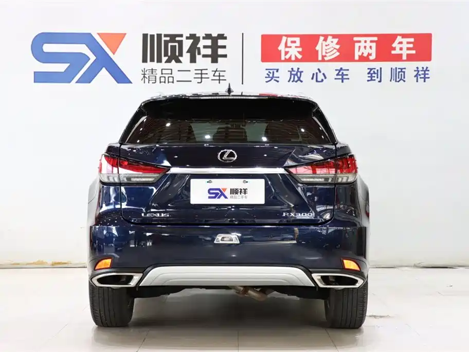 Lexus RX 2022 — фото 5