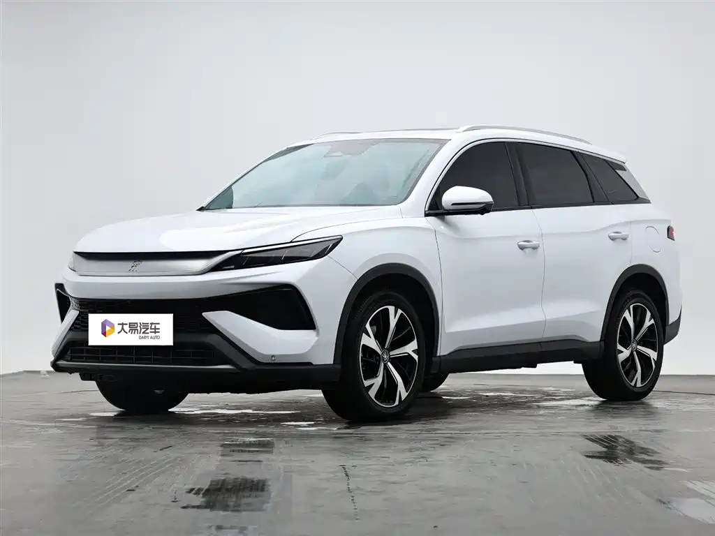 BYD Pro New Energy 2024 — фото 1
