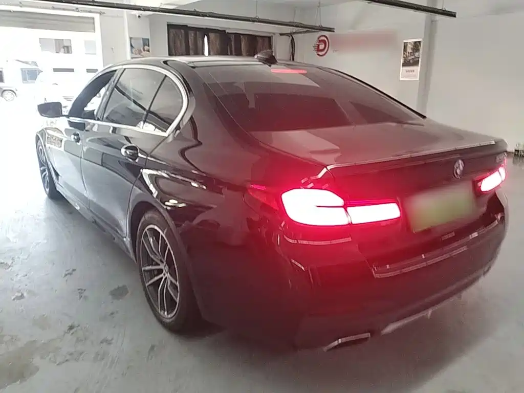 BMW 5 Series New Energy 2021