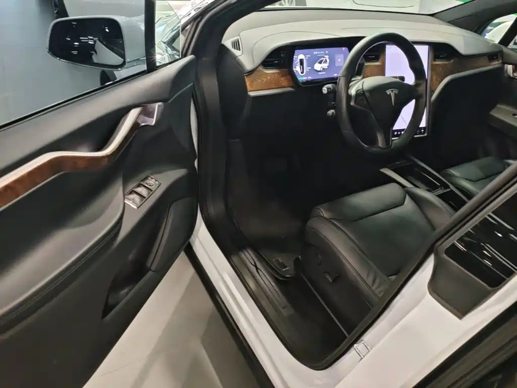 Tesla Model X 2019 — фото 12