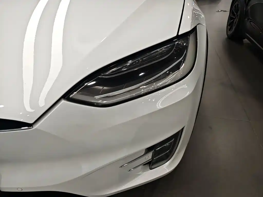 Tesla Model X 2019 — фото 18