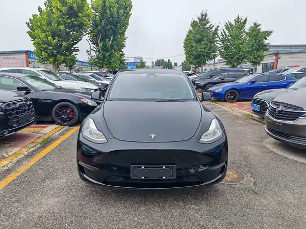 Tesla Model Y 2021