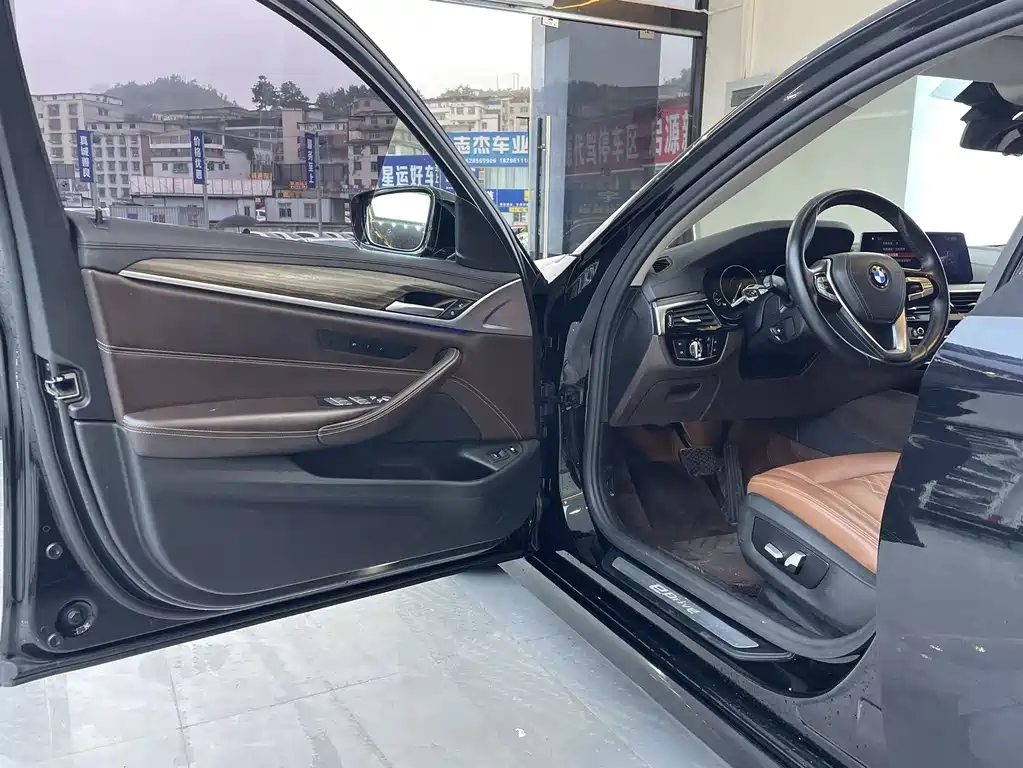 BMW 5 Series New Energy 2019