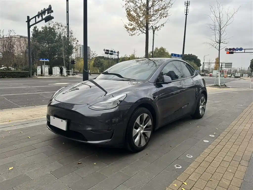 Tesla Model Y 2021 — фото 1