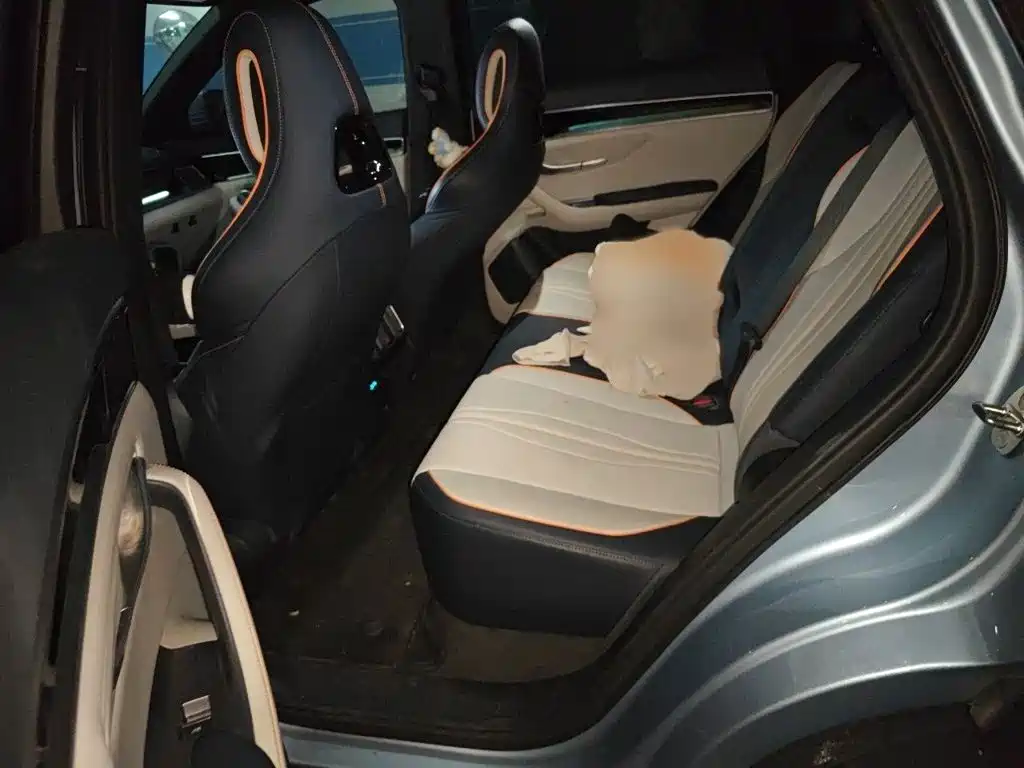 BYD Song PLUS New Energy 2023 — фото 15