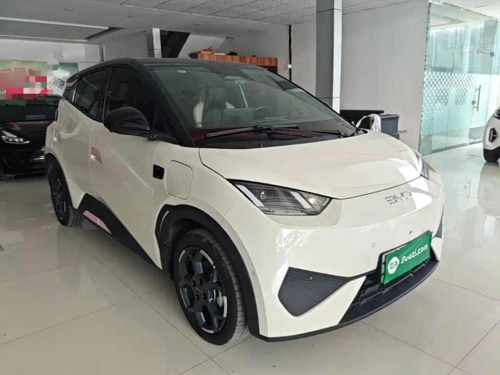 BYD Seagull 2025