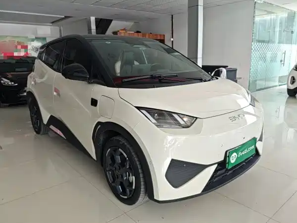 BYD Seagull 2025