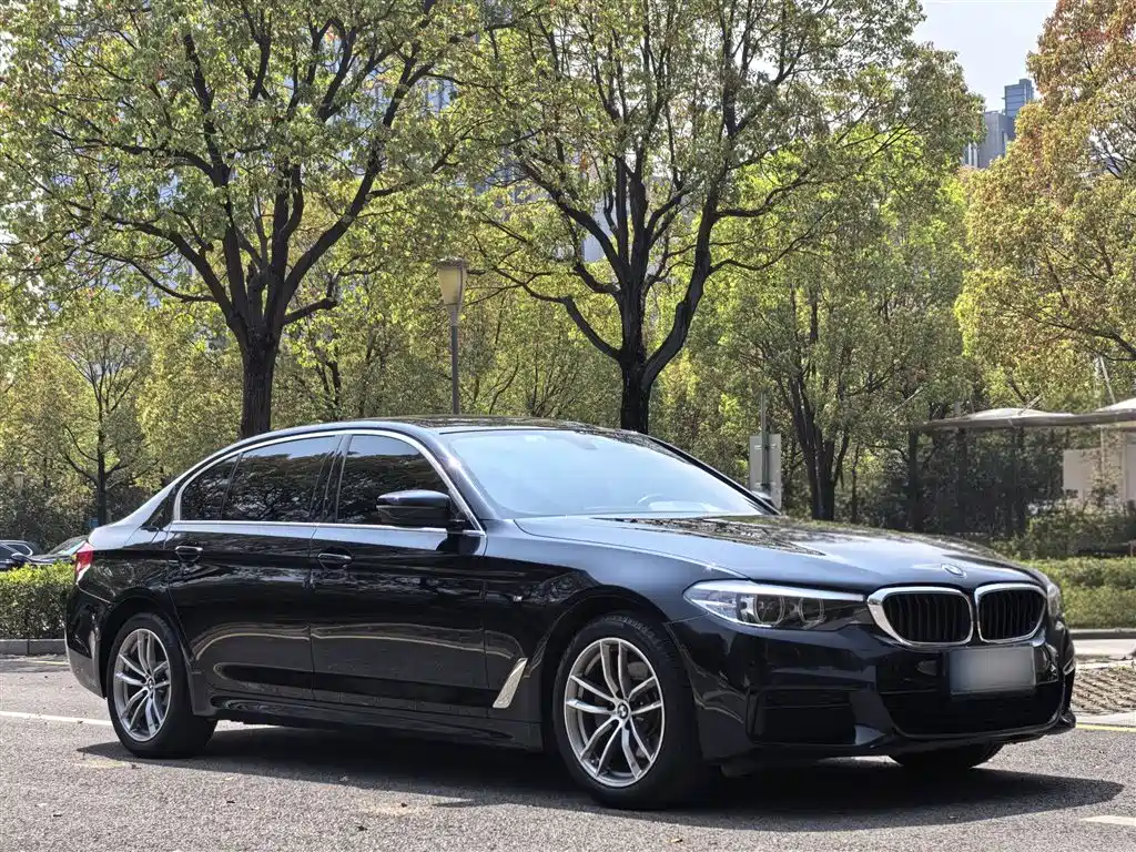 BMW 5 Series 2020 — фото 21