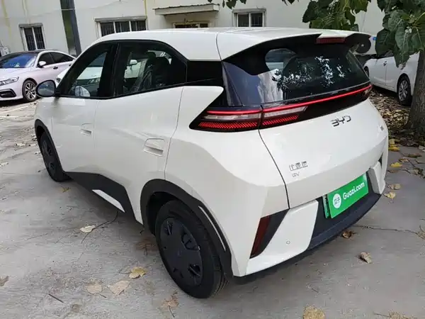 BYD Seagull 2026