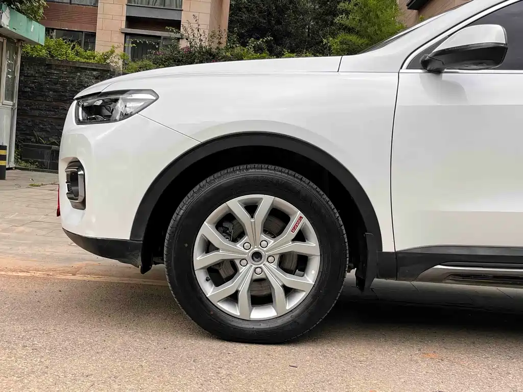Haval H6 2019 — фото 9