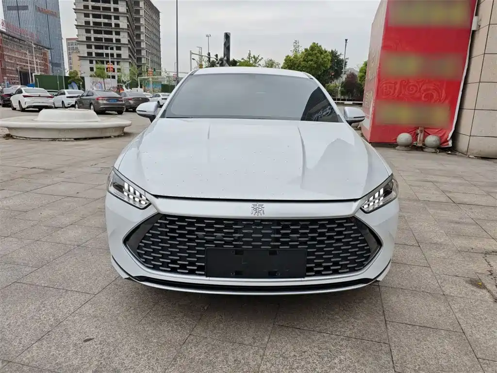 BYD Qin PLUS 2024 — фото 3