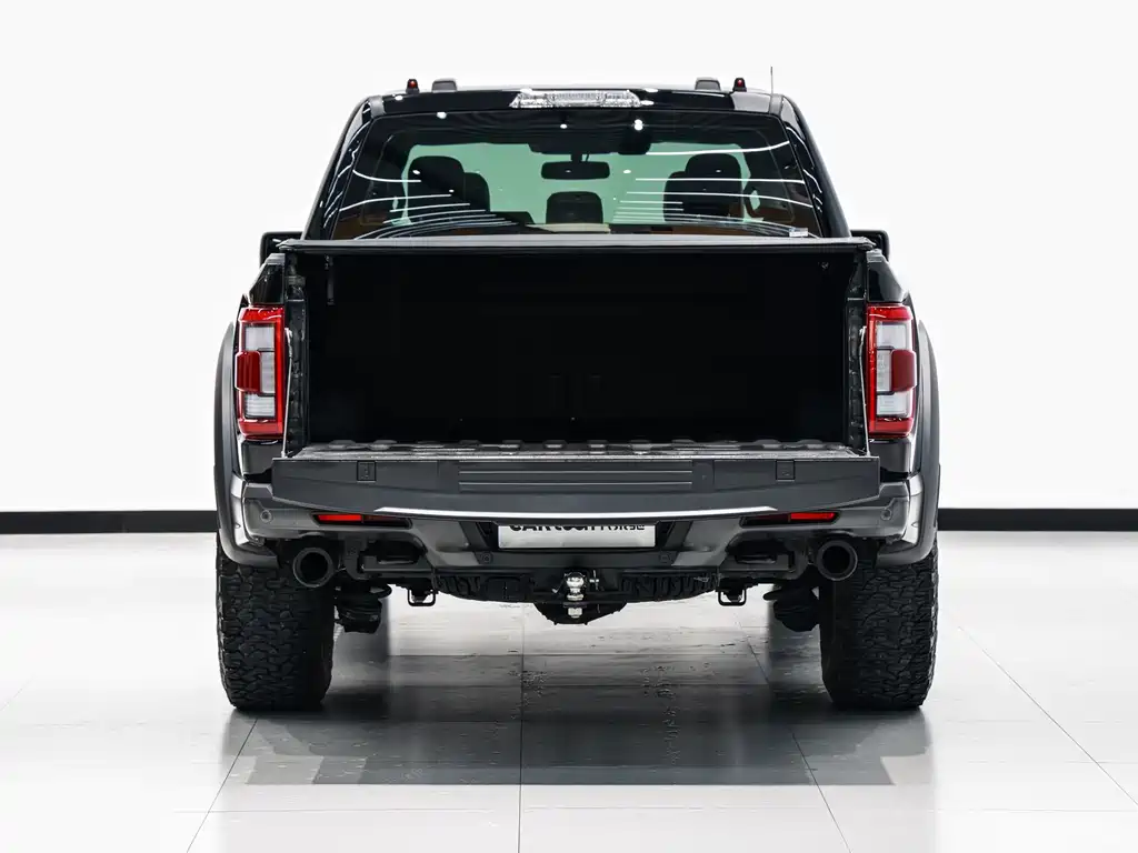 Ford F-150 Raptor 2024 — фото 13