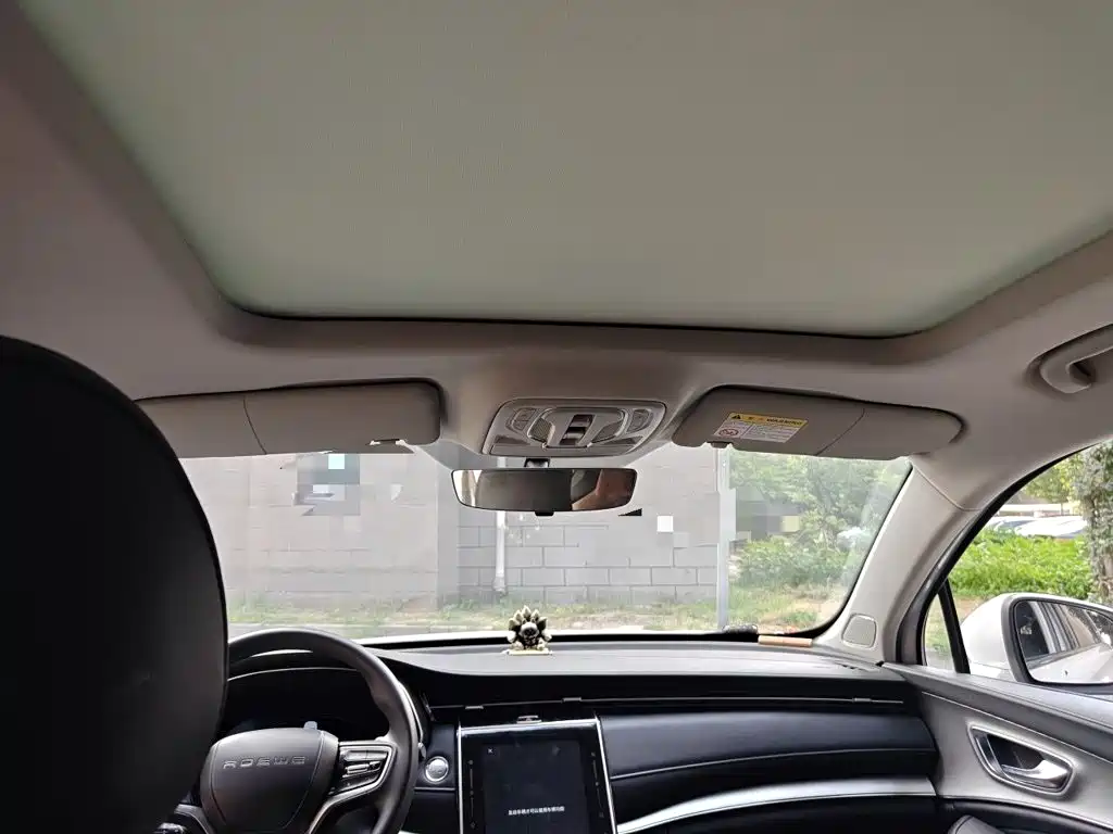 Roewe RX5 MAX 2019 — фото 19