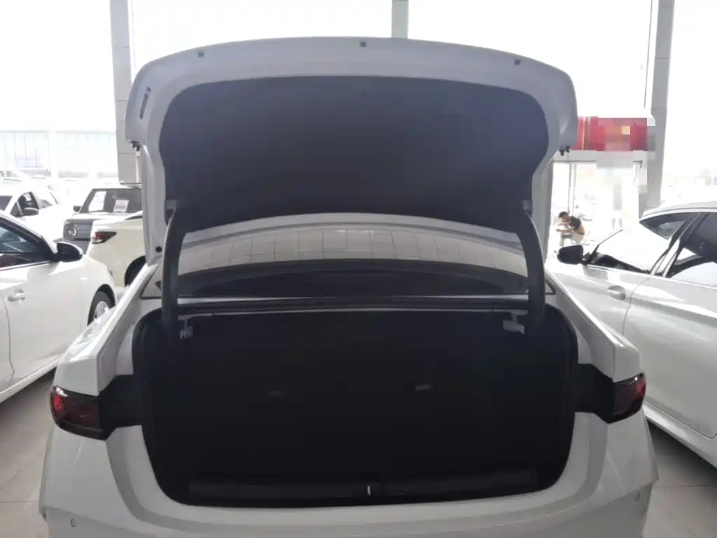 BYD Qin PLUS 2025 — фото 19