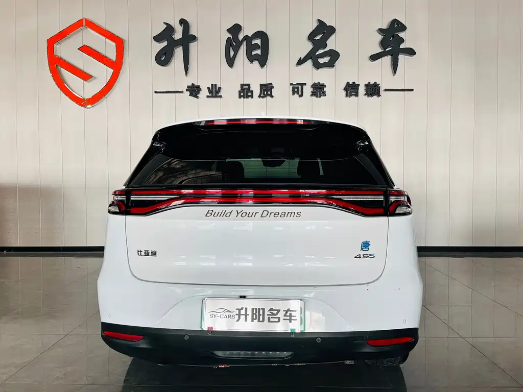 BYD Tang New Energy 2018 — фото 4