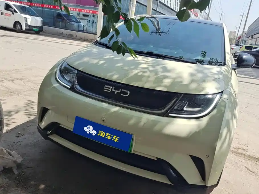 BYD Dolphin 2024