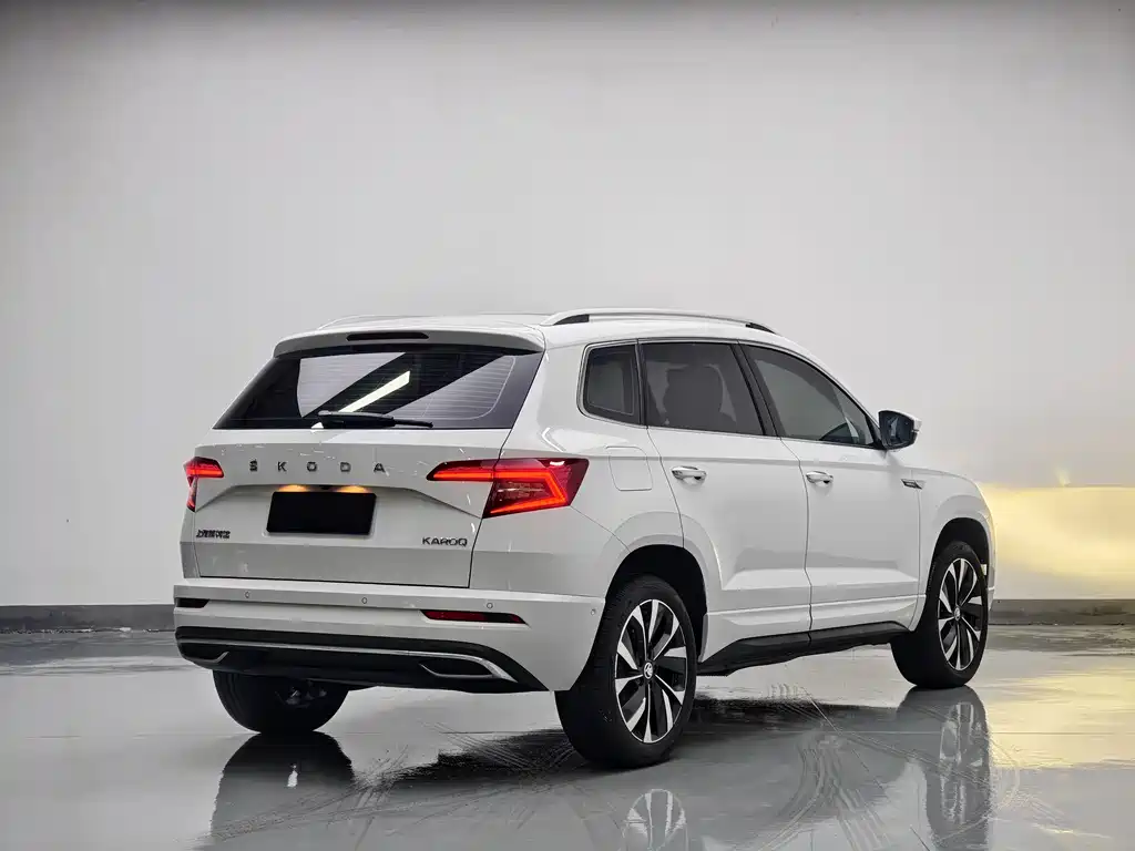Skoda Karoq 2023 — фото 6