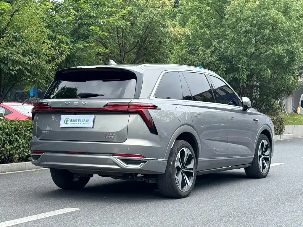 Wey Lanshan 2024